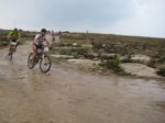 foto carnet 014.jpg