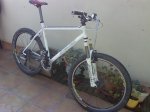 Copia de Imagen011.jpg