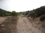 DSCF6228.JPG