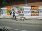 carreras albacete 014.jpg
