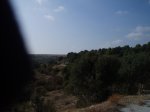 P1010457.JPG