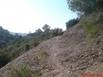 DSC00199.jpg