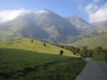IMG_2536.jpg