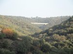 DSC00461.jpg