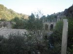 DSC00462.jpg