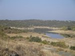 DSC00473.jpg