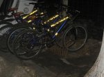 IMG_0035.jpg