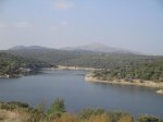 DSC00477.jpg