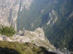 IMG_2031.jpg