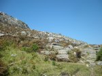 DSCN4868 (Large).JPG