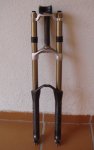 DSC08351.JPG
