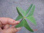 DSC02758.jpg