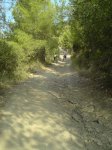 DSC03315 foromtb.JPG
