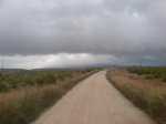 DSC01373.jpg