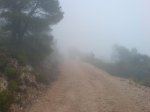 DSC01376.jpg
