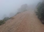 DSC01379.jpg