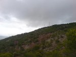 DSC01383.jpg