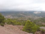 DSC01386.jpg