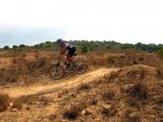 Bikers Flyers2.jpg