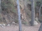 IMG_0010.jpg