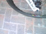 DSC02805.jpg