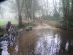 DSC01002.jpg