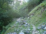 DSC04383.jpg