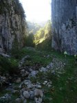 DSC04385.jpg