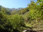 DSC04389.jpg