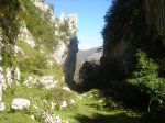 DSC04390.jpg