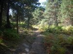 DSCN7261 (Medium).JPG