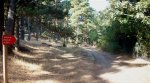Panorama 3 (Medium).JPG