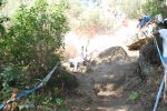 DSC_0134.jpg