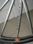 IMG_0340.jpg