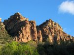 IMG_3982.jpg