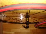DSC05133.JPG
