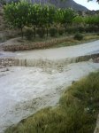 DSC07810.jpg