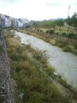 DSC07811.jpg