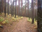 Foto11.JPG