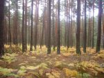 Foto12.JPG