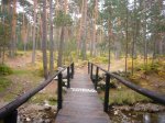 Foto14.JPG