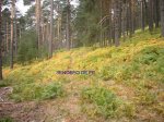 Foto24.JPG