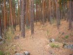 Foto30.JPG