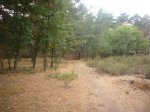 Foto35.JPG