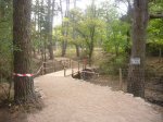 Foto36.JPG