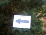 Foto44.JPG