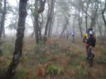 DSC01031.jpg