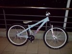 DSC02540.jpg