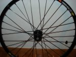 DSC01399.JPG
