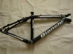 Bianchi4.jpg